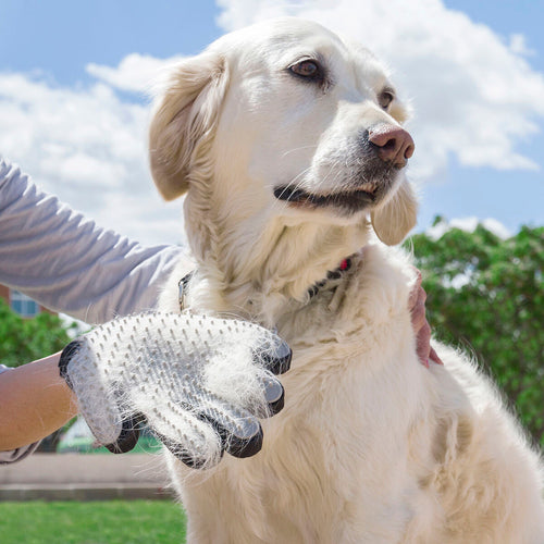 Pet Hair Grooming Glove