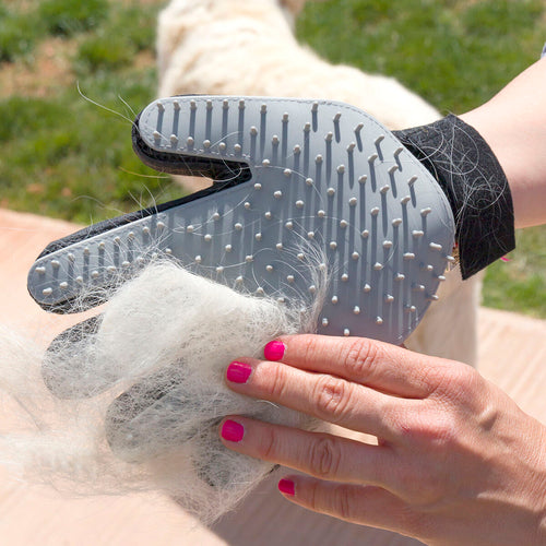 Pet Hair Grooming Glove